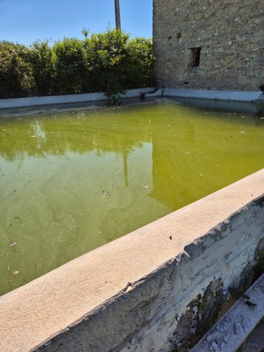 Après restauration